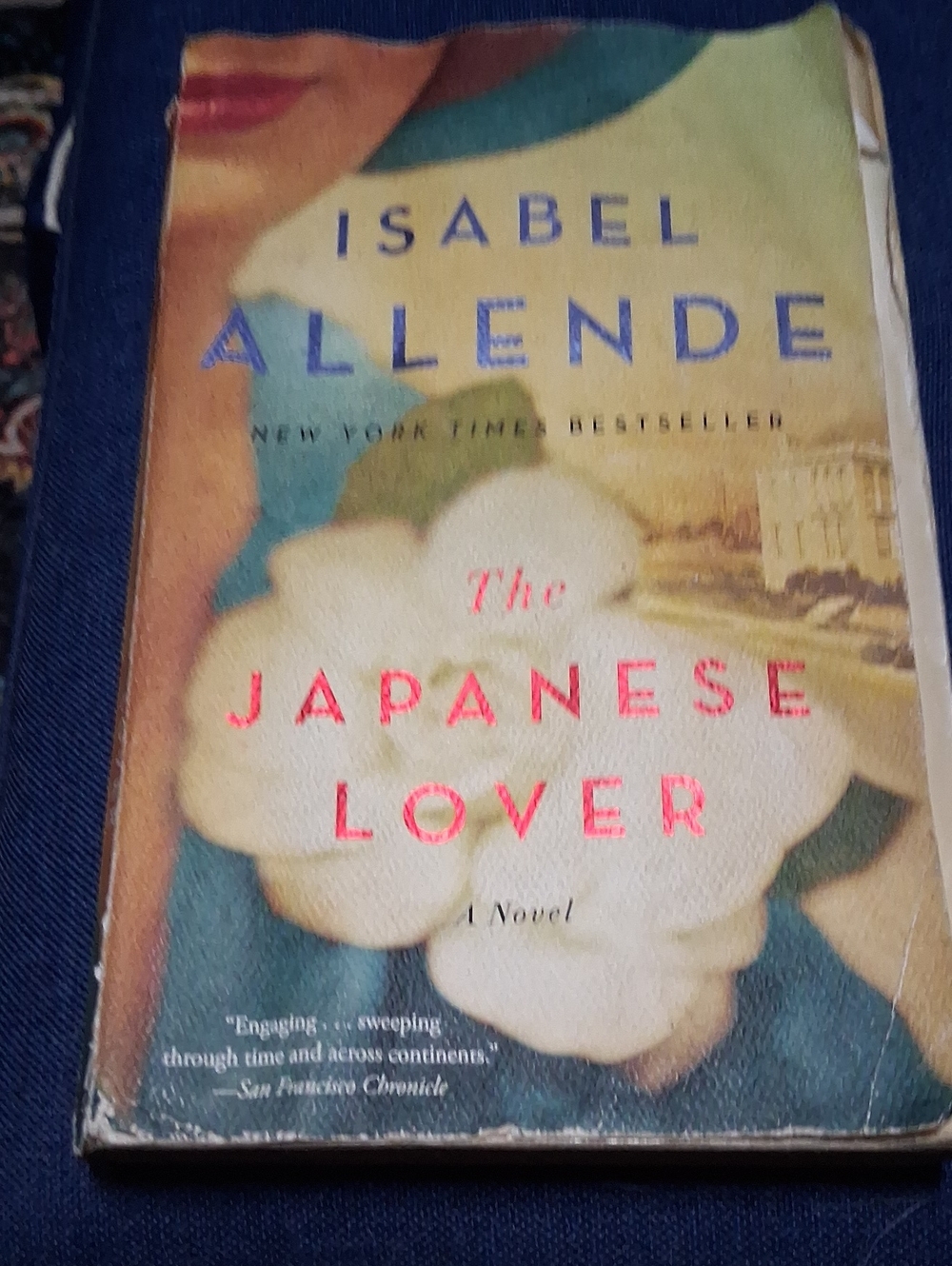 — The Japanese Lover Book in Beige and Blue